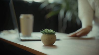 Bilgisayarlı bir masa, gidilecek bir kahve fincanı ve arka planda bir insanın elinin çalıştığı küçük bir saksı sulu bitki.