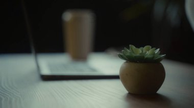 Küçük, sulu bir saksı, bir dizüstü bilgisayarın ve bulanık bir içecek konteynırının önündeki ahşap bir yüzeyde oturur ve rahat bir çalışma alanı ortamı yaratır.