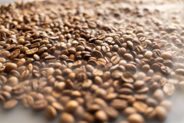 Taze kavrulmuş kahve çekirdeklerinin detaylı bir görüntüsü, zengin dokularını ve sıcak kahverengi tonlarını ince bir sisle sergiliyor.