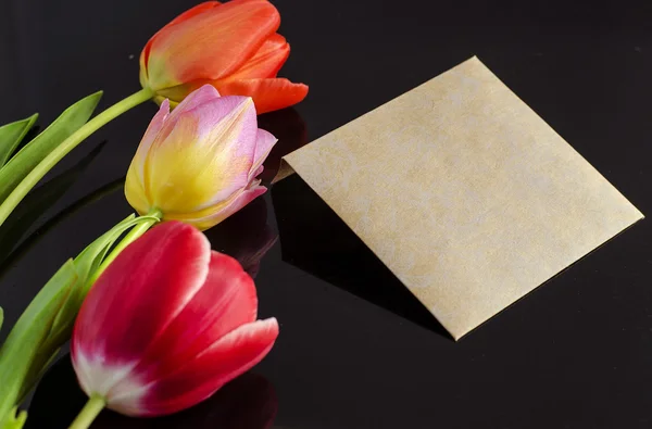 Tulipany z życzeniami — Zdjęcie stockowe