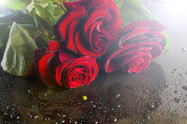 Czerwone róże i krople — Zdjęcie stockowe