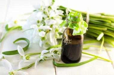 kokulu yağ özleri kardelen