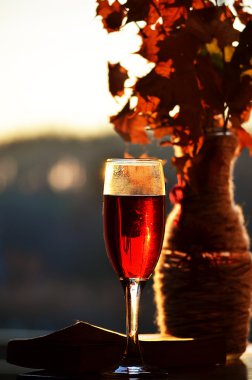 gün batımı şarap ve kitap geceleri