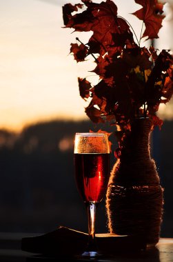 gün batımı şarap ve kitap geceleri