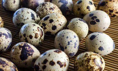 Bıldırcın yumurta portre