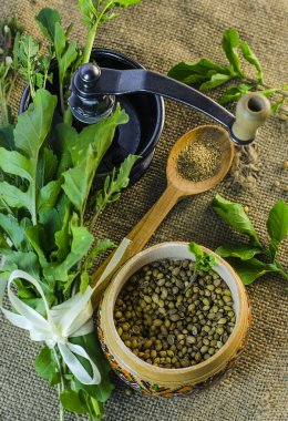 yaprakları ve kişniş tohumu