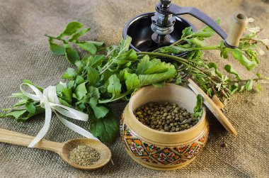 yaprakları ve kişniş tohumu