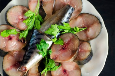 Sliced lightly salted marinated Atlantic mackerel on a plate with a sprig of fresh parsley