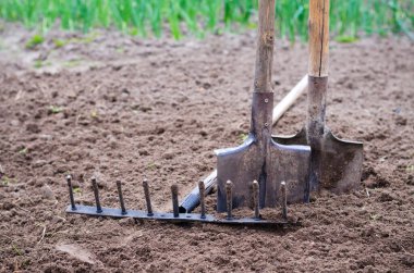 Bahçede çalışmak için eski, eski bahçe aletleri, kürek, tırmık. Kırsal envanter.