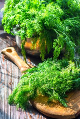 Mutfak tahtasındaki taze, taze dereotu. Taze kesilmiş, baharatlı otlar..