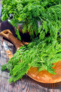 Mutfak tahtasındaki taze, taze dereotu. Taze kesilmiş, baharatlı otlar..