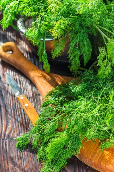 Зелений Свіжий Молодий Кріп Дошці Кухні Свіжозрізані Гострі Трави — стокове фото