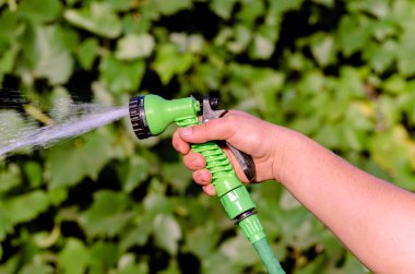 Su püskürtme hortumuyla bitkileri sulamak ya da sulamak bir insanın elindedir..