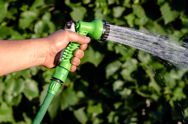 人の手に水噴霧ノズルを通してホースで植物を散水または灌漑する — ストック写真