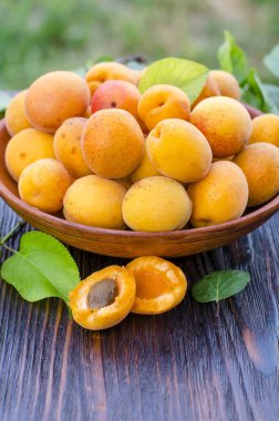 Tahta bir masada yaprakları olan taze, olgun organik kayısılar.