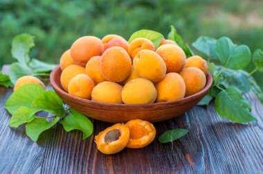 Tahta bir masada yaprakları olan taze, olgun organik kayısılar.