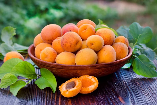 Fresh Ripe Organic Apricots Bowl Leaves Wooden Table Stock Picture