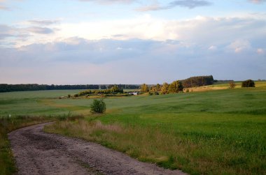 Ufukta mavi gökyüzü olan kırsal yol. Şehrin dışındaki yaz manzarası.