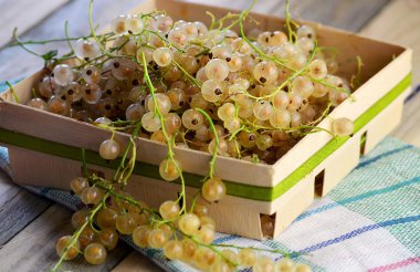 Şube sarı kuş üzümü