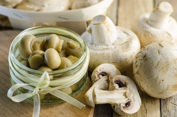 taze ve Marine mantar