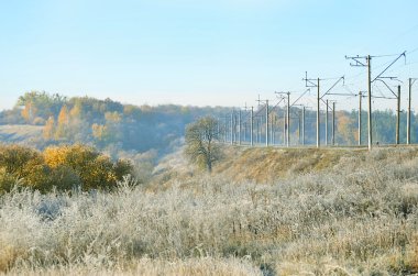 Frost'un üzerinde bitkiler ile manzara