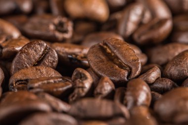 arabica kahve çekirdekleri