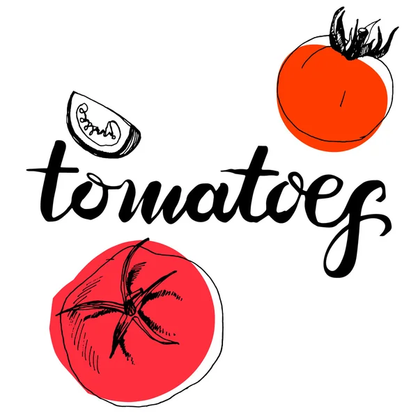 Caligrafía palabra tomates — Archivo Imágenes Vectoriales