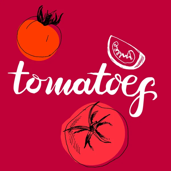 Caligrafía palabra tomates — Archivo Imágenes Vectoriales