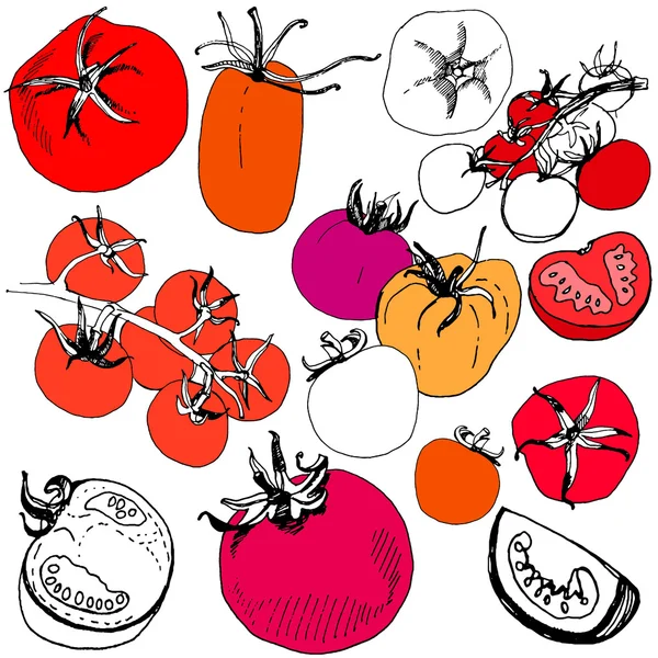 Grand ensemble de tomate croquée — Image vectorielle