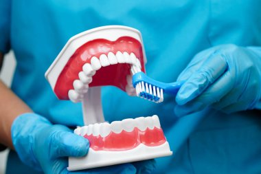 Diş fırçasıyla dişleri temizleyen doktor hasta ve dişçiye diş hekimliği dersi veriyor..