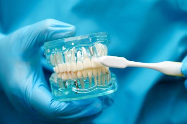 Diş fırçasıyla dişleri temizleyen doktor hasta ve dişçiye diş hekimliği dersi veriyor..