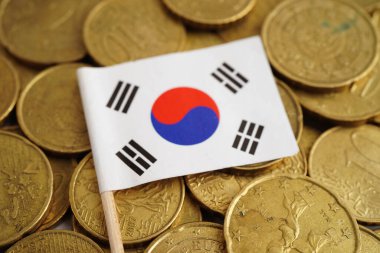 Para ve banknot üzerinde Güney Kore bayrağı, finans sektörü yatırım para birimi.
