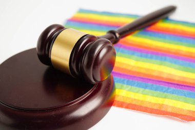 Gavel, LGBT gurur ayının sembolü olan gökkuşağı bayrağında hakim avukat adayı..