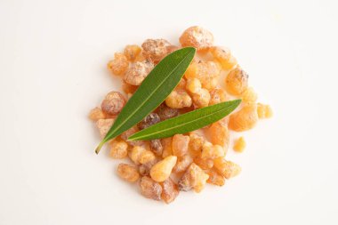 Tütsü veya olibanum aromatik reçine tütsü ve parfümlerde kullanılır..