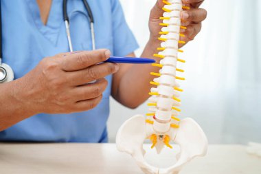 Omurga ve kemik modeli taşıyan Asyalı doktor, ortopedi bölümünde tedavi için bel kemiği yerinden oynamış disk parçası..