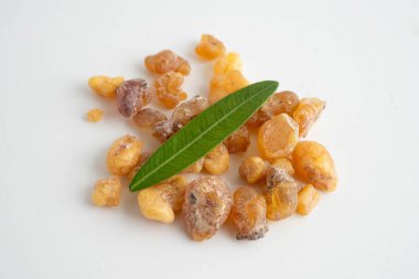 Tütsü veya olibanum aromatik reçine tütsü ve parfümlerde kullanılır..