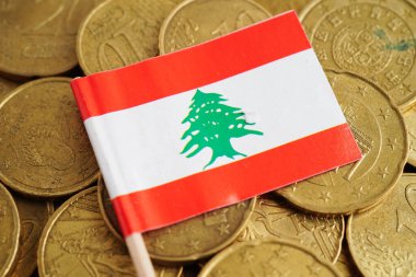 Para ve banknot üzerinde Lübnan bayrağı, yatırım ticareti ticari para birimi kavramını finanse ediyor.
