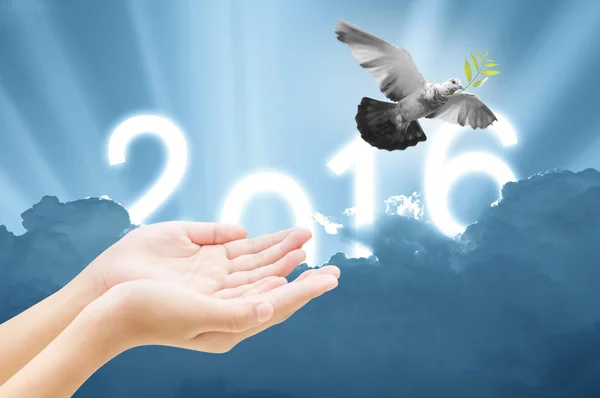 Hand lässt einen Vogel in die Luft am Himmel 2016 Hintergrund, alle — Stockfoto