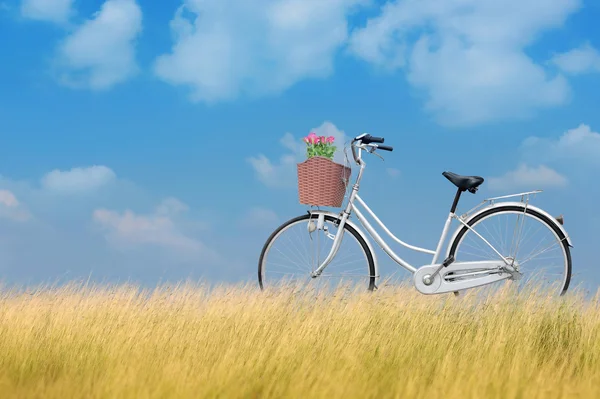 Bicycle on road and blue sky abstract background — Stock Photo, Image