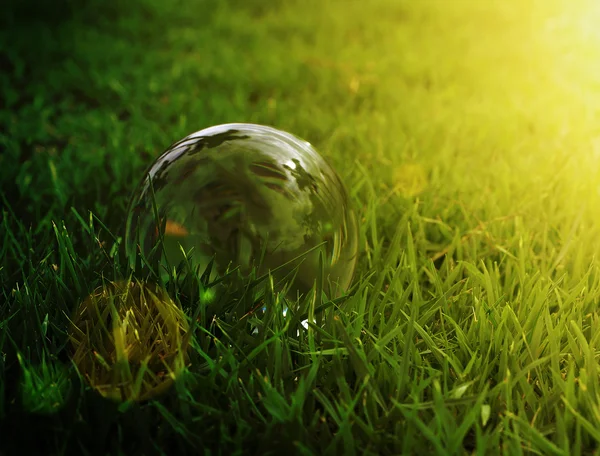 Bola de vidrio sobre hierba verde al atardecer luz oscura —  Fotos de Stock
