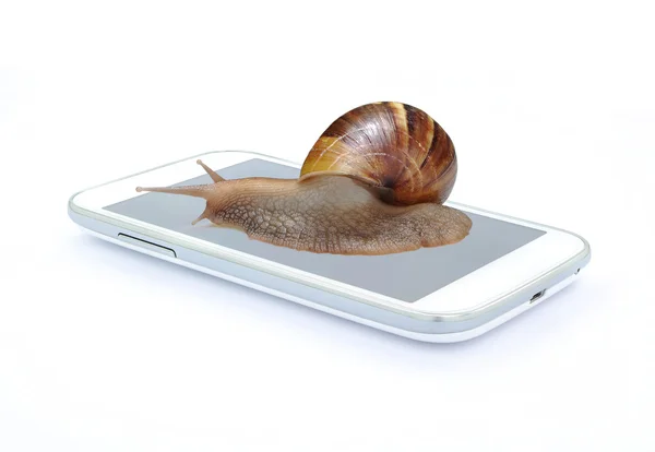 Snail on smart phone on white background , Fast slow concept — Stock Photo, Image