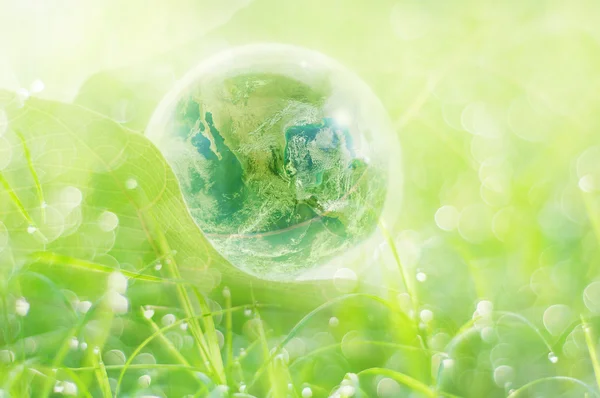 Tierra en bola de vidrio sobre hoja, Elementos de esta imagen amueblada por Fotos de stock libres de derechos