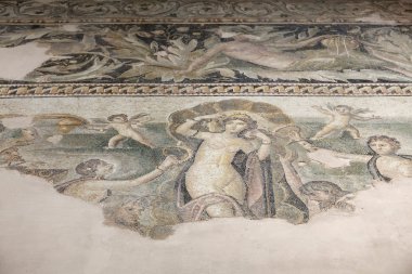 Yeni Hatay Arkeoloji Müzesi