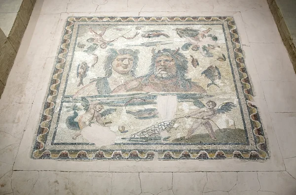 Neues archäologisches Museum von Hatay — Stockfoto