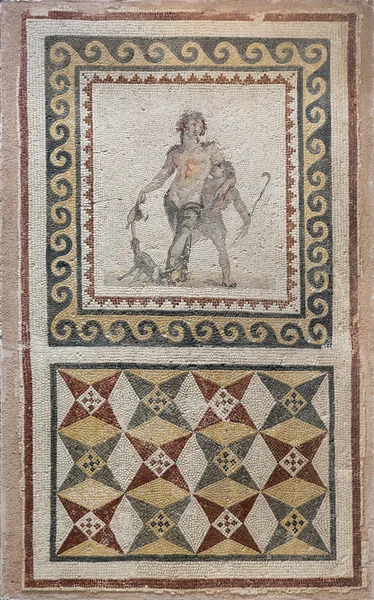 Mosaikk for full Dionysos – stockfoto