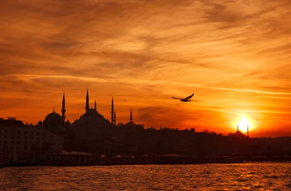 Minaretes de Istambul no belo pôr do sol — Fotografia de Stock