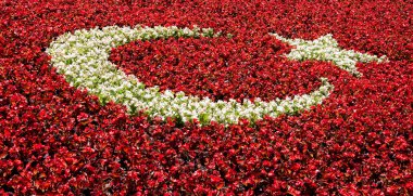 Türk bayrağı çiçek yaptı