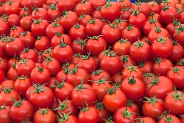 Группа свежих помидоров — стоковое фото