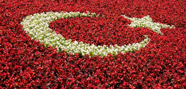 Türkische Flagge aus Blumen — Stockfoto