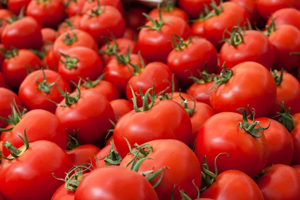 Hög med färska tomater — Stockfoto